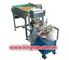Máy đập trứng dạng xoay toàn tự động loại XZKDJ - 