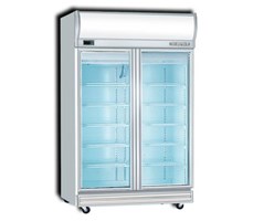Tủ đông 2 cánh kiếng Display freezer 2D/DF-S-EV