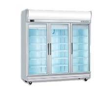 Tủ đông 3 cánh kiếng Display freezer 3D/DF-S-EV