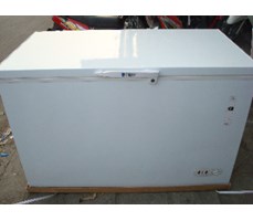 Tủ đông lạnh Frigo BD350