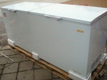 Tủ đông lạnh DENVER 850TD