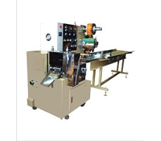 Máy đóng gói nằm nhỏ (nguyên liệu khối)