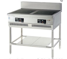 Bếp điện FUJIMARK FIC906008TF