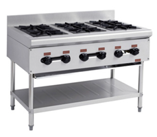 Bếp Âu 6 Họng Đứng DM01-6