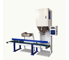 Máy đóng gói gạo tự động DCS-25