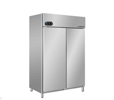 Tủ đông 2 cánh Berjaya BS 2DUF/Z  