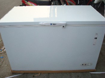 Tủ đông lạnh Frigo BD350