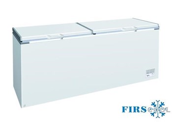 Tủ đông nằm Firscool G-BD-1220