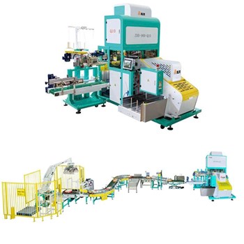 Dây chuyền giải pháp đóng gói & máy đóng gói gạo túi dệt PP 5-25kg ZDB-900-Q10