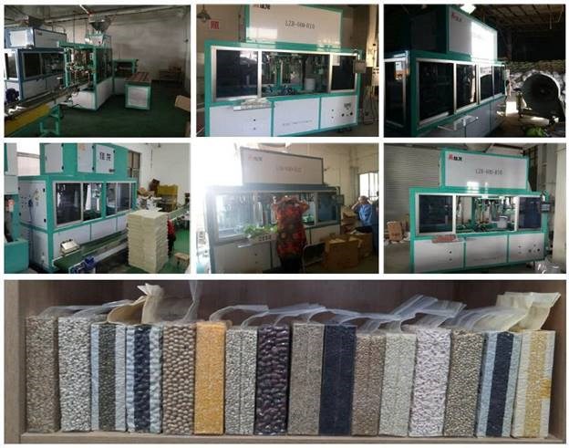 may dong goi chan khong tu dong pine nuts lzb-600-fr10 hinh 6