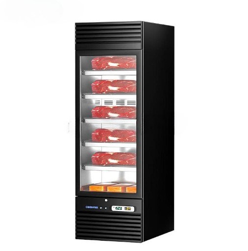 tủ ủ thịt bò 1 cánh 5 tầng chineng cn-bx-bsc700 hình 0 tu u thit bo 1 canh 5 tang chineng cn-bx-bsc700 hinh 0
